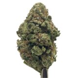 Durban Poison