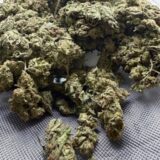 GREEN MACHINE - Image 2