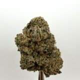 DARK STAR