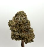 PURPLE GOO