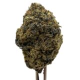Sour Cherry Sherbert