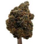 Chemdawg