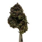 Frosted Widow