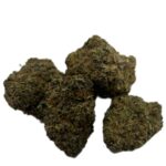 ALIEN PEBBLES - Image 2