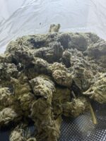 BLUEBERRY MUFFIN - Image 2