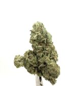PURPLE COUGH