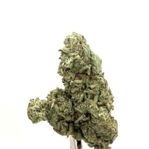 PURPLE COUGH