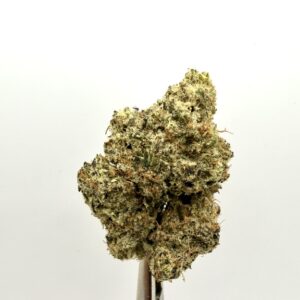 GAS MASK