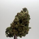 SOUR KUSH