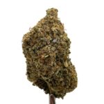 Super Lemon Haze