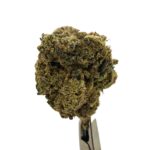 Afghani