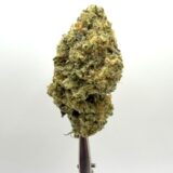 $10 WEDDING CAKE