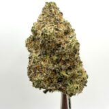$8 CHRONIC BOMB