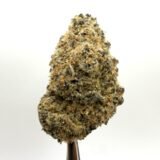 $8 KUSHBERRY