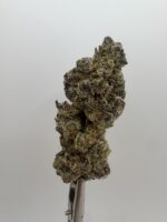 Northern Lights