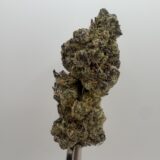 Northern Lights