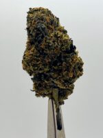 PLATINUM PURPLE KUSH