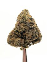 PURPLE SOUR DIESEL
