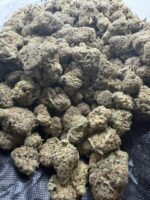 GELATO - Image 2