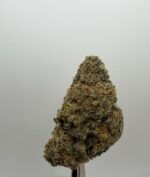 GELATO