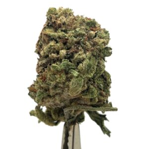 Blueberry Kush