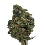 Granddaddy Purple