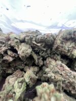 Blueberry Kush - Image 2