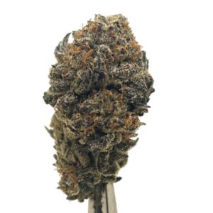 Mintz Kush