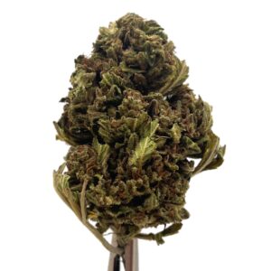 Pineapple OG