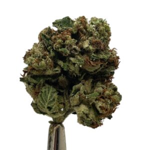 Kosher Kush