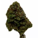 Afghani