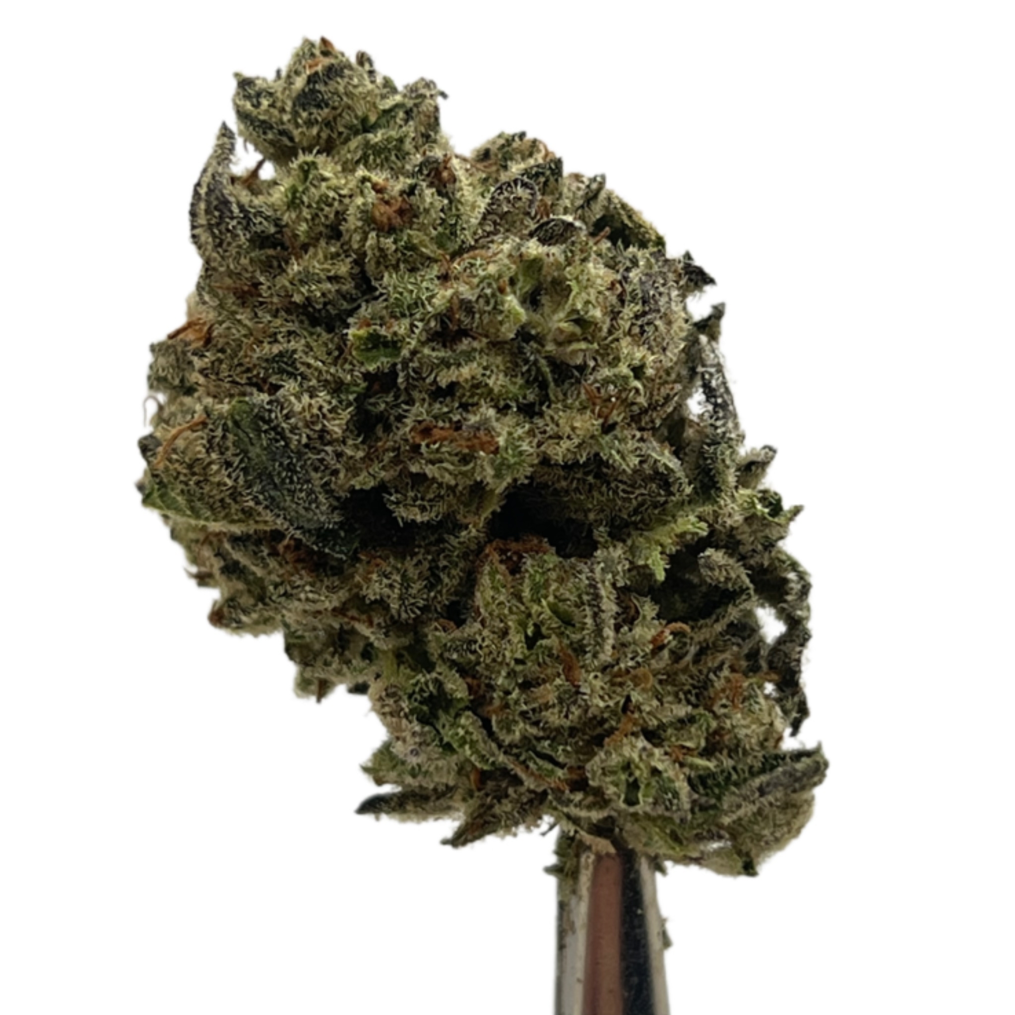 5C4657F3-A5F8-4811-803D-E00C49A1DD95 Pink Kush - Image 1