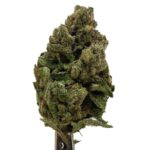 Super Critical