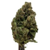 Super Critical