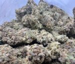 Purple Skunk - Image 2