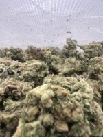 Super Critical - Image 2