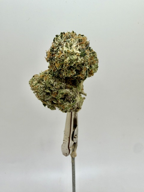 IMG_3840 $14 Og Kush - Image 1