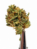 Chronic Thunder