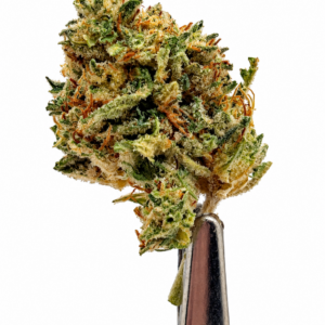 Chronic Thunder