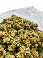 Chronic Thunder - Image 2