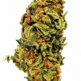 $5 BLUE DREAM