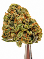 Sweet Berry Kush