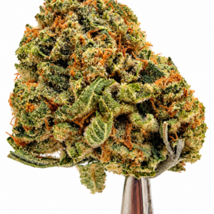 Sweet Berry Kush