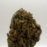 FRUIT ROLL UP