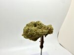 $3 CANNATONIC